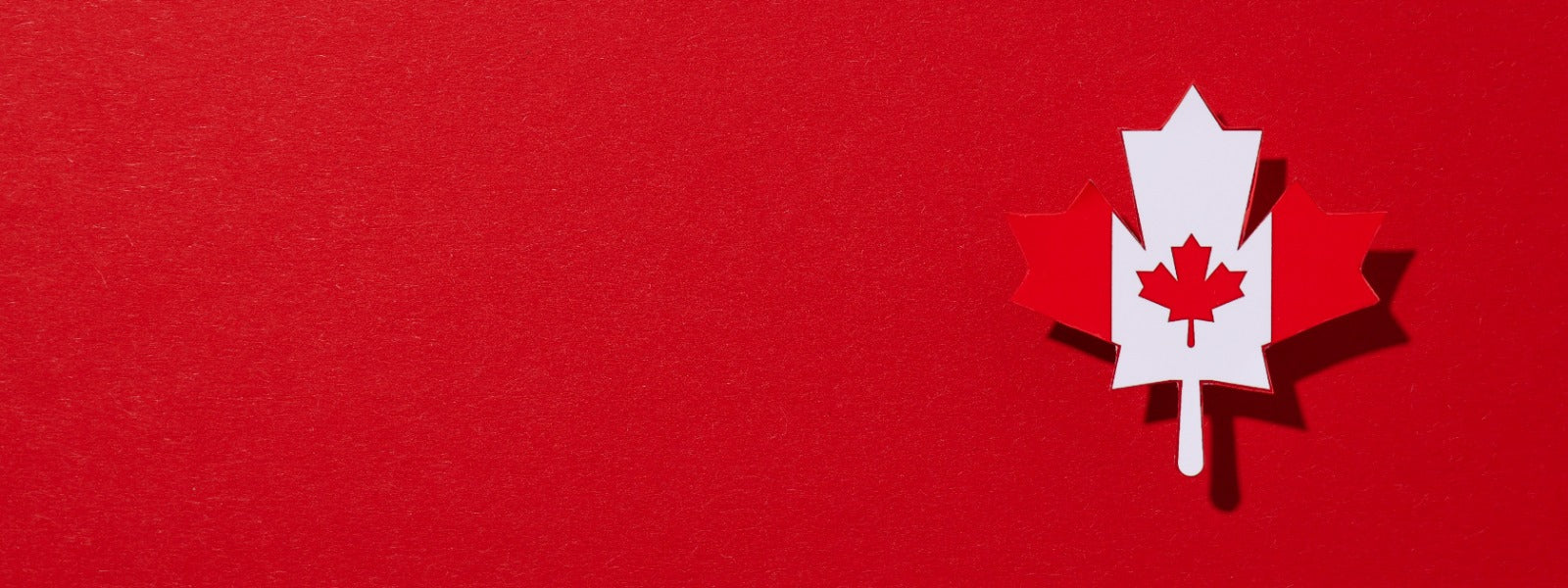 slider image 1621243260e1af0c20-1